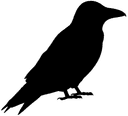 Logo Jason Testé